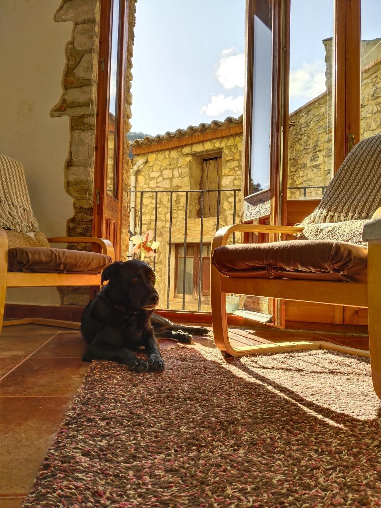 El Refugi Hostel Arboli Екстериор снимка